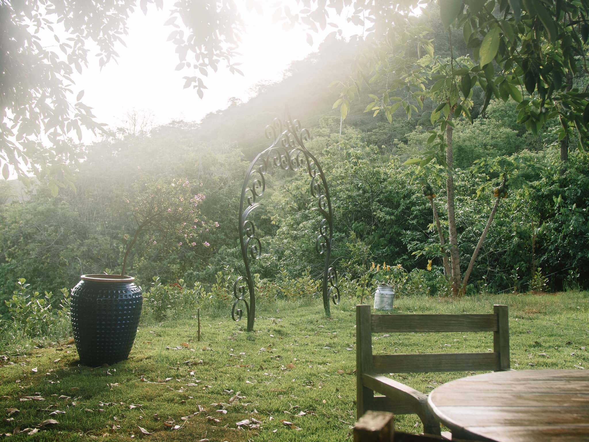 Jardim com arco de ferro, vaso de cerâmica e mesa de madeira na luz da manhã